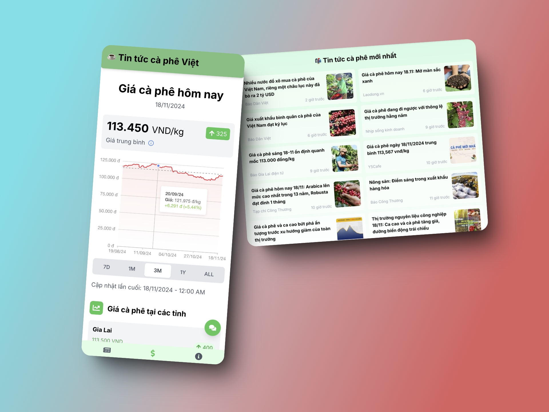 Project Business Analyst