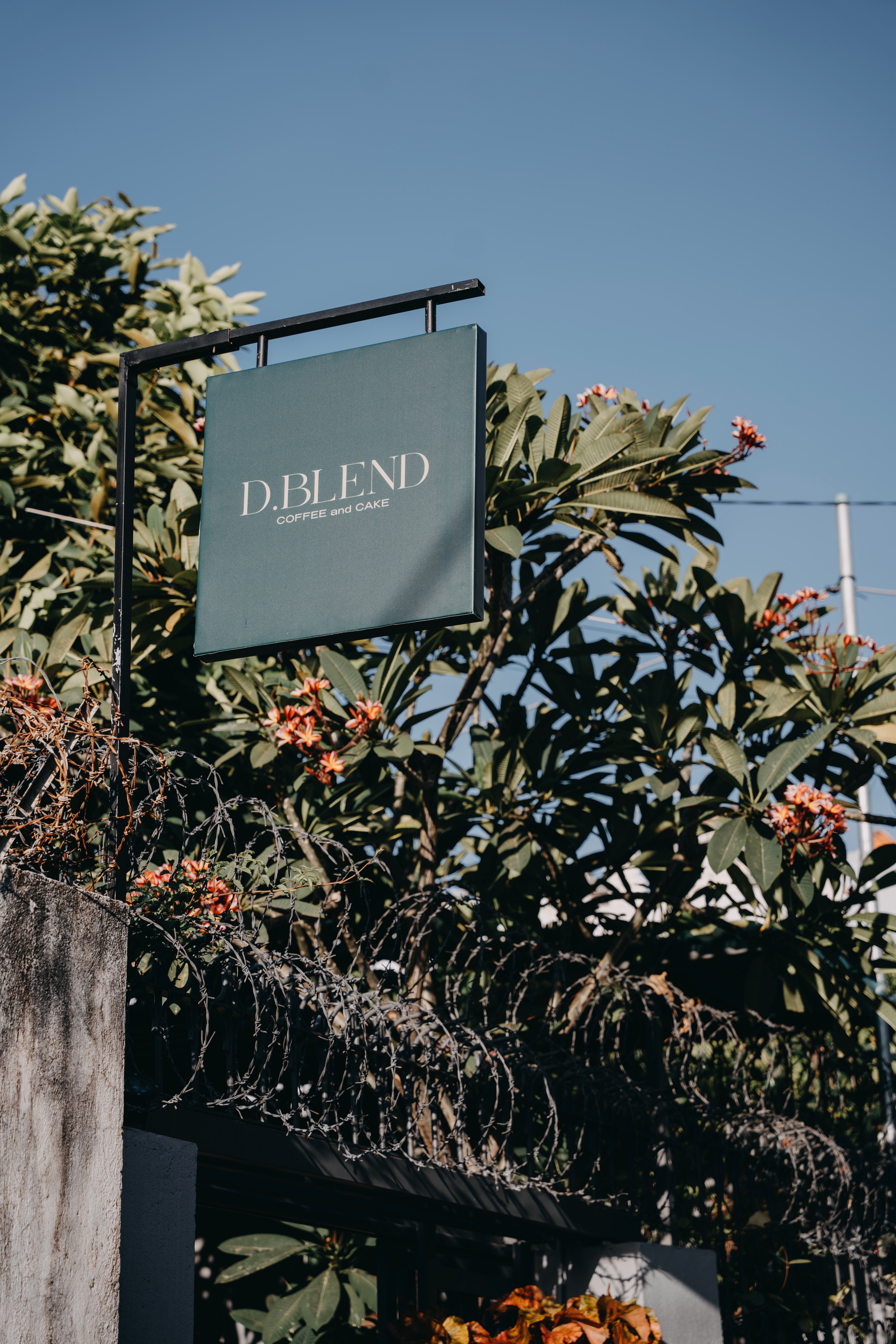 D.Blend - 2 of 5.jpeg