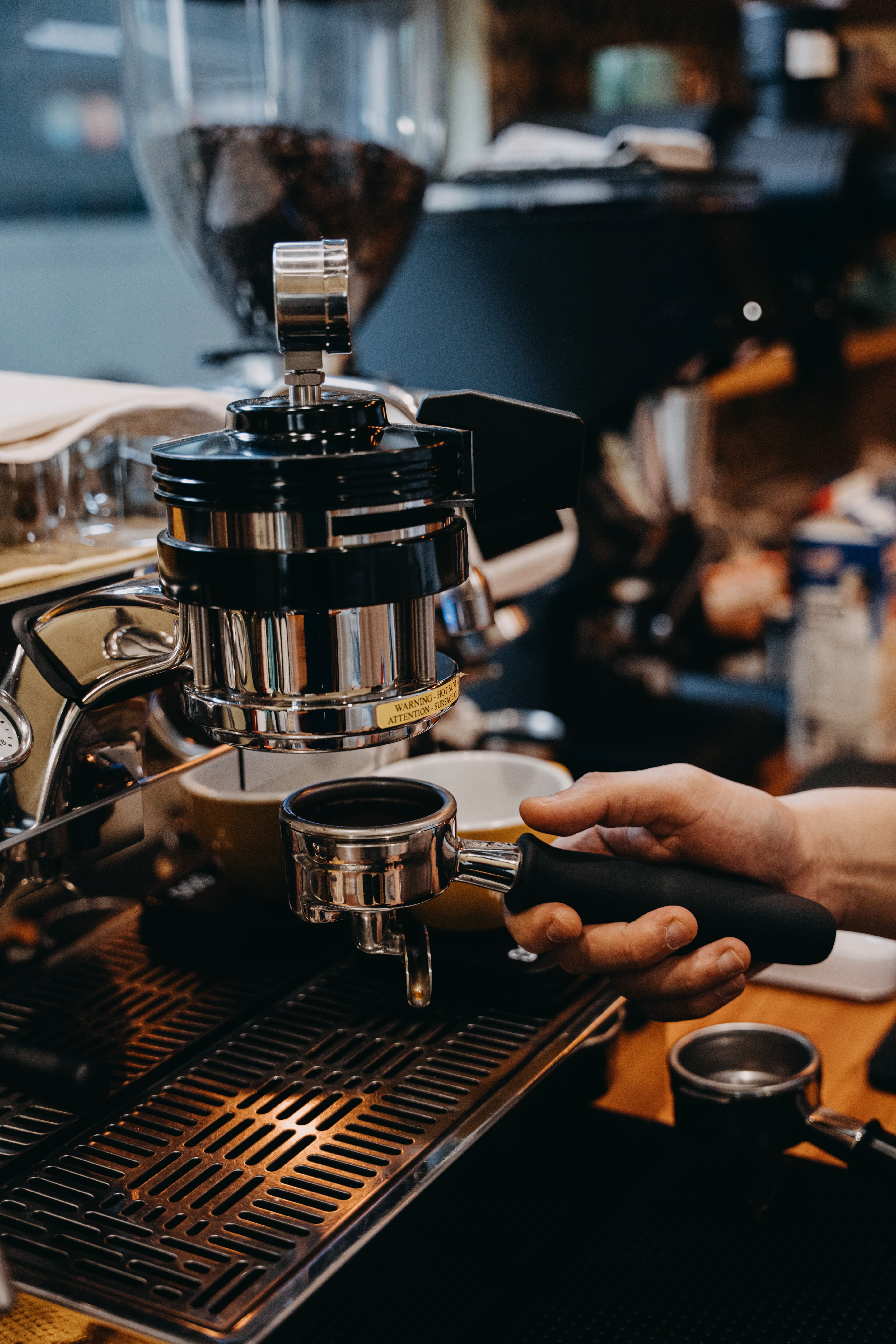 D.Blend - 1 of 5.jpeg